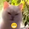 🔥 TIKTOK ✨R.Viral #5💥 5