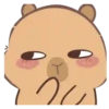 🦫 CaPyBaRa 🦫 5