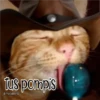 🧿Gatos fraseables 🐱🐈 8