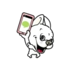 Cute puppy mov 9