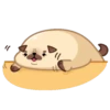 Moshi Pug 🐶 10
