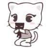 Vanilla and Pepper Cat 8