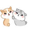 Hamsters mov 10