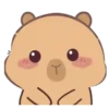 🦫 CaPyBaRa 🦫 6