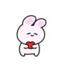 Mini pink rabbit mov 11