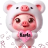 Bebés cerditos💞1🇵🇪Movi 9