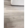 Perritos Disfrazados 🐶 🇪🇨 movi 6