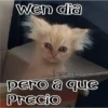🧿Gatos fraseables 🐱🐈 9