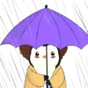 Lluvia☔️🌧️ 10