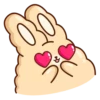 Suppy Rabbit 5