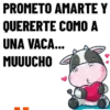 I love you 4ever֍1🇲🇽Movi 7