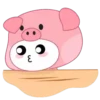 Niño puerquito 2 🐷 MOV.🇲🇽 11