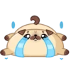 Moshi Pug 🐶 12
