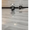 Perritos Disfrazados 🐶 🇪🇨 movi 8