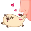 Moshi Pug 🐶 13