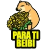 PARA TI BEIBI