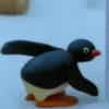 pingu animadas 13