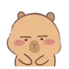 🦫 CaPyBaRa 🦫 7