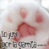 🧿Gatos fraseables 🐱🐈 11