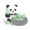 🐼🌾 SiMpLe PaNdA 🌾🐼 12