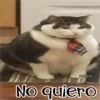 🧿Gatos fraseables 🐱🐈 12