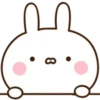 Cute rabbit 14