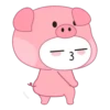 Niño puerquito 2 🐷 MOV.🇲🇽 14