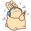 Suppy Rabbit 7