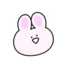 Mini pink rabbit mov 12