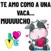 I love you 4ever֍1🇲🇽Movi 10