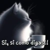 Variados✥𖣐1🇨🇴🇲🇽Clásica 14