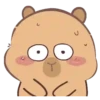 🦫 CaPyBaRa 🦫 8