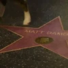 MATT DAMO