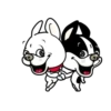 Cute puppy mov 10