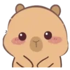 🦫 CaPyBaRa 🦫 9