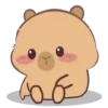 🦫 CaPyBaRa 🦫 10