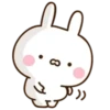 Cute rabbit 15