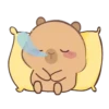🦫 CaPyBaRa 🦫 11
