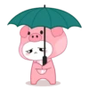 Selecci⭕n pink pig 2 mov 14