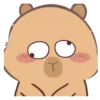 🦫 CaPyBaRa 🦫 12