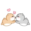 Hamsters mov 14