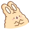 Suppy Rabbit 9
