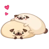 Moshi Pug 🐶 15