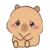 🦫 CaPyBaRa 🦫 13