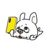 Cute puppy mov 11