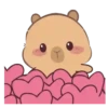 🦫 CaPyBaRa 🦫 14