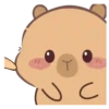 🦫 CaPyBaRa 🦫 15