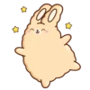 Suppy Rabbit 10
