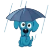 Lluvia☔️🌧️ 21
