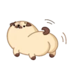 Moshi Pug 🐶 16